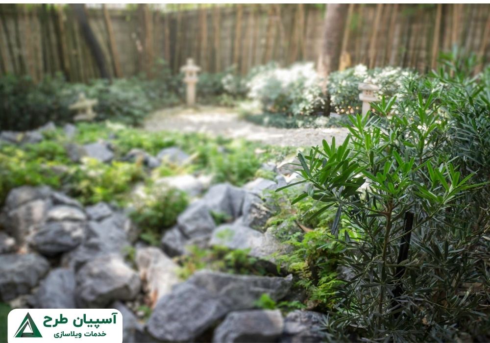 محوطه باغ ژاپنی