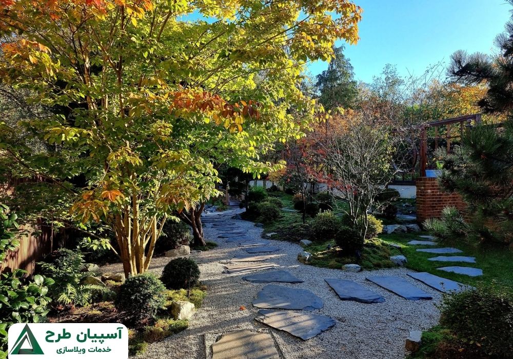باغ ژاپنی نمای بالا