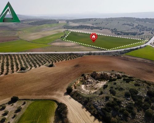 زمین مناسب ویلا چه ویژگی هایی دارد؟