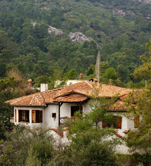 معماری ویلا در ایینه ورزان سبک های معماری ویلا در ایینه ورزان
